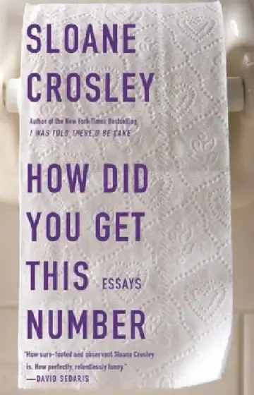 Cover of How Did You Get This Number