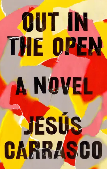 Cover of Out in the Open