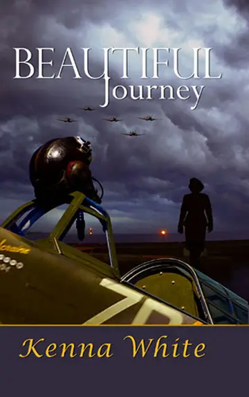 Cover of Beautiful Journey