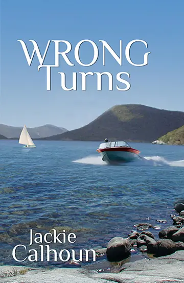 Cover of Wrong Turns