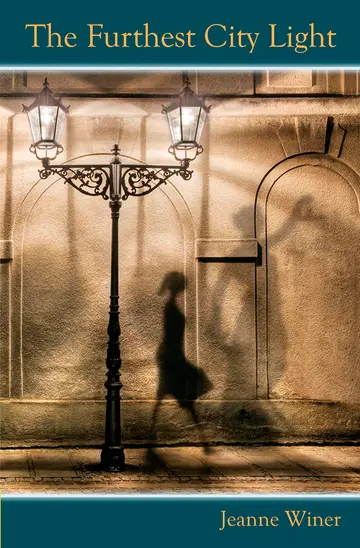 Cover of The Furthest City Light