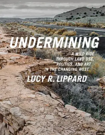 Cover of Undermining
