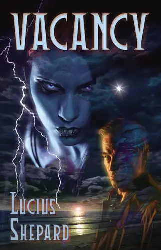Cover of Vacancy & Ariel