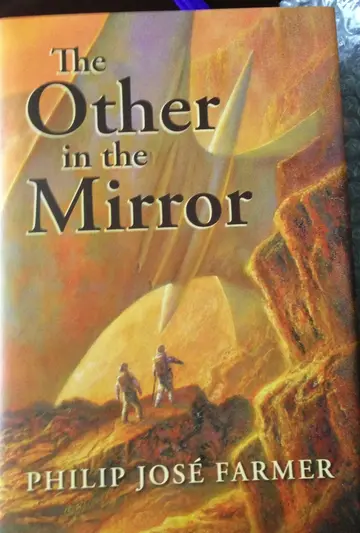 Cover of The Other in the Mirror