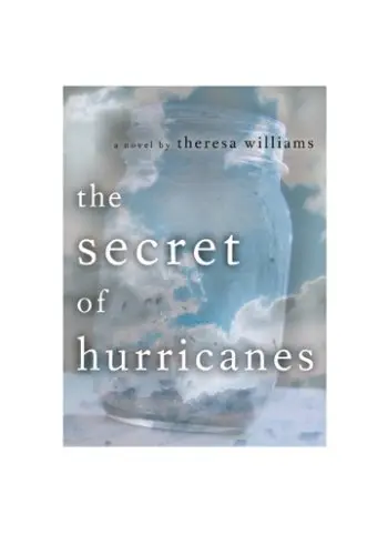 Cover of The Secret of Hurricanes