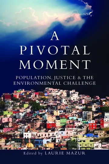 Cover of A Pivotal Moment