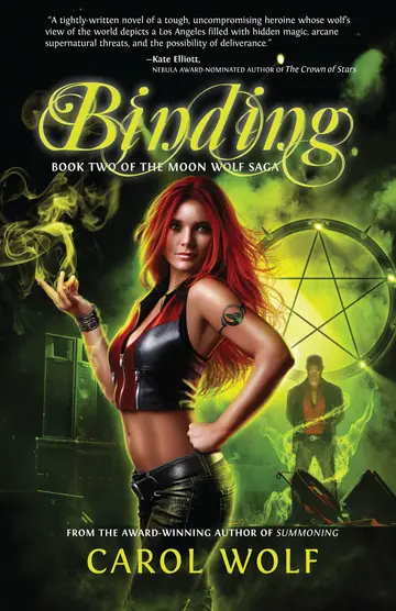 Cover of Binding