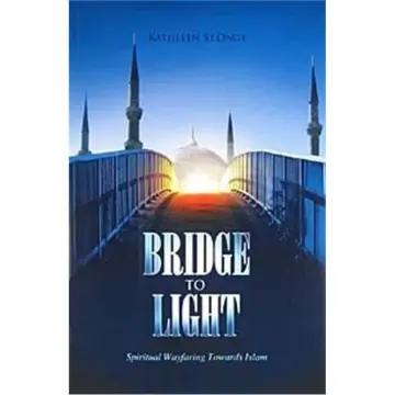 Cover of Bridge to Light