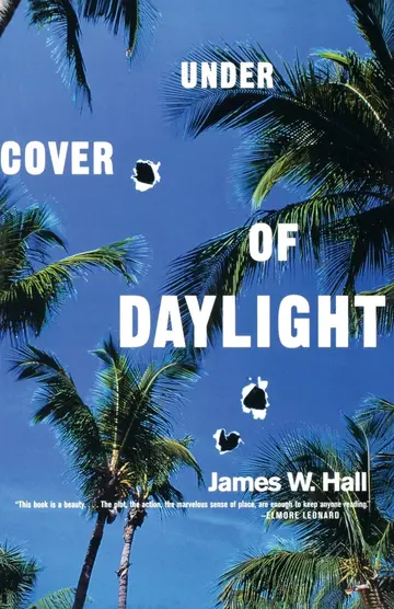 Cover of Under Cover of Daylight