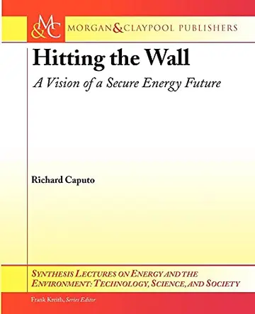 Cover of Hitting the Wall
