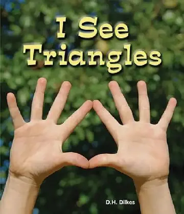 Cover of I See Triangles