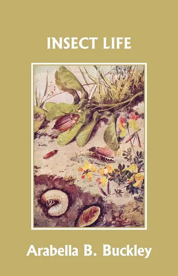 Cover of Insect Life