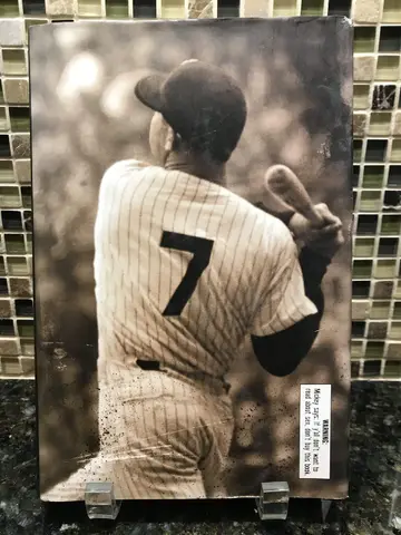 Cover of 7