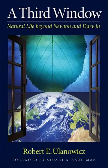 Cover of A Third Window