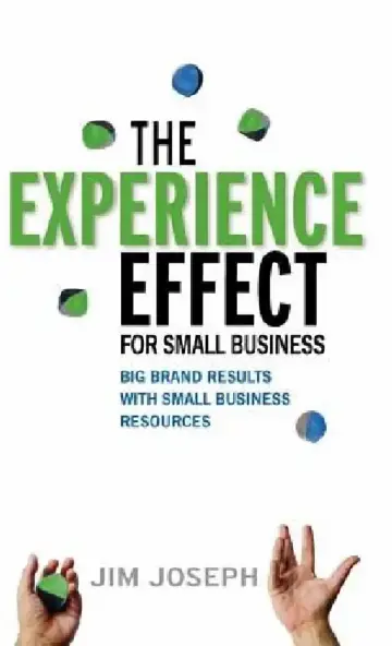 Cover of The Experience Effect for Small Business