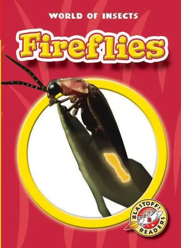 Cover of Fireflies