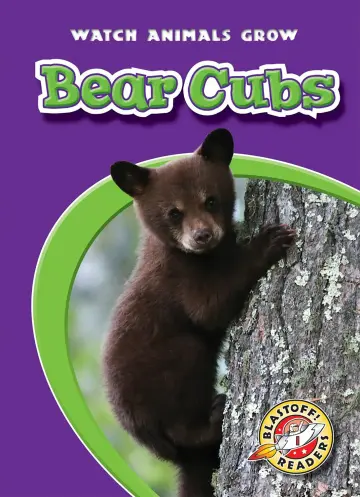 Cover of Bear Cubs