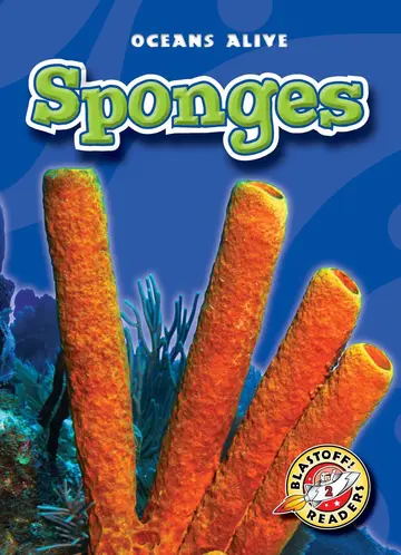 Cover of Sponges