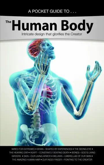 Cover of A Pocket Guide to the Human Body