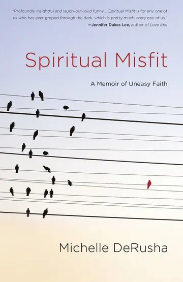 Cover of Spiritual Misfit