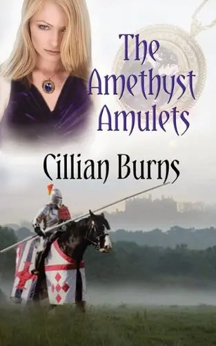 Cover of The Amethyst Amulets