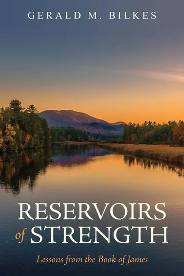 Cover of Reservoirs of Strength