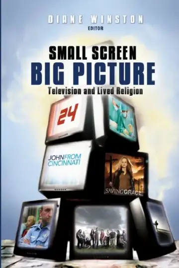 Cover of Small Screen, Big Picture