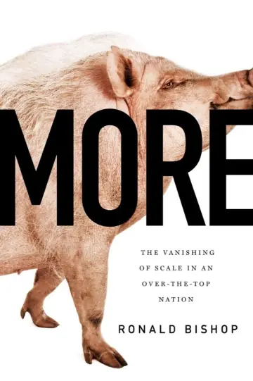 Cover of More
