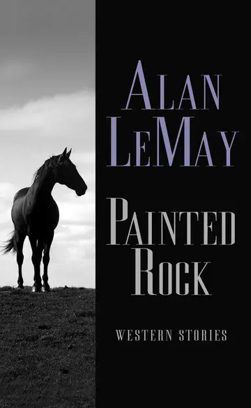Cover of Painted Rock