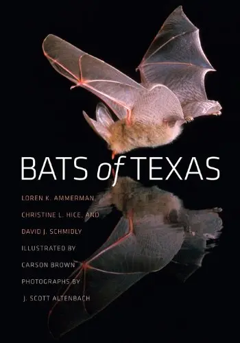 Cover of Bats of Texas