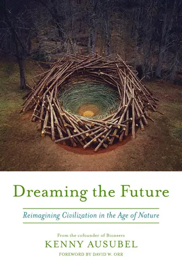 Cover of Dreaming the Future