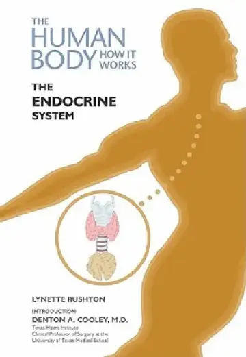 Cover of The Endocrine System