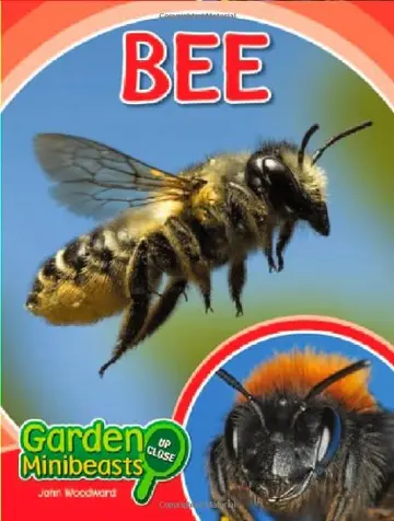 Cover of Bee