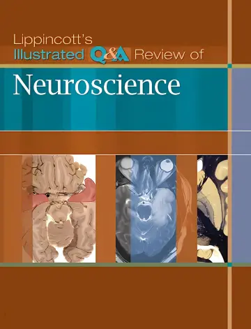 Cover of Lippincott's Illustrated Q&A Review of Neuroscience
