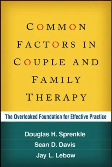 Cover of Common Factors in Couple and Family Therapy