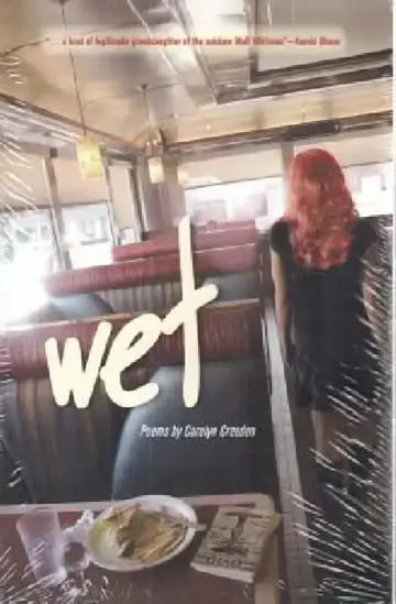 Cover of Wet