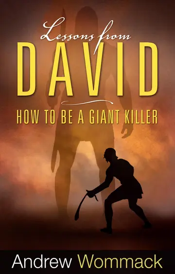 Cover of Lessons from David