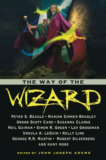 Cover of The Way of the Wizard