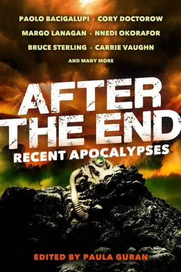 Cover of After the End