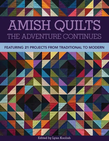 Cover of Amish Quilts - The Adventure Continues