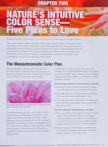 Cover of Color Play