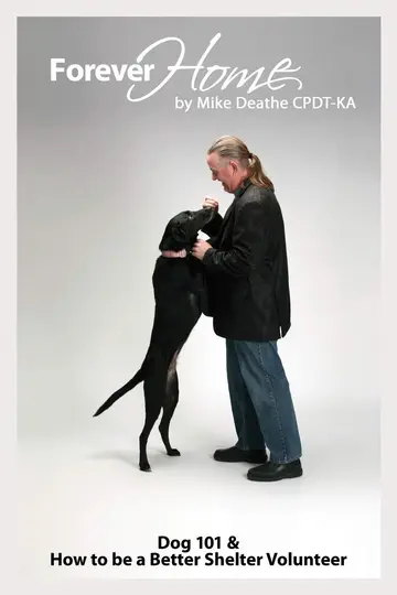 Cover of Forever Home