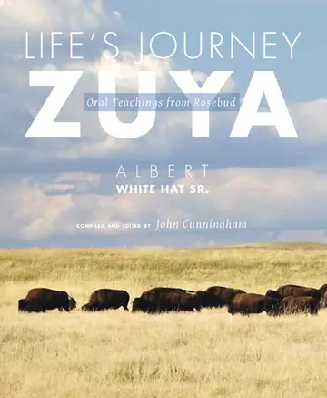Cover of Life's Journey-Zuya