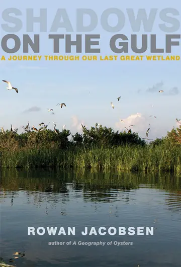 Cover of Shadows on the Gulf