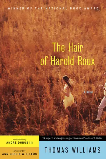 Cover of The Hair of Harold Roux