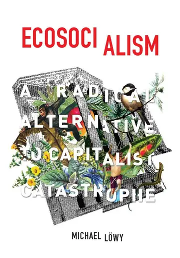Cover of Ecosocialism