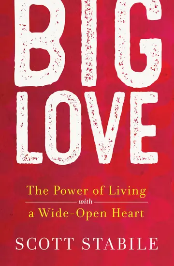 Cover of Big Love
