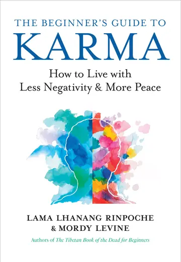 Cover of The Beginner’s Guide to Karma