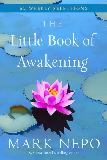 Cover of The Little Book of Awakening