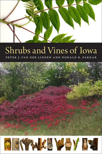 Cover of Shrubs and Vines of Iowa